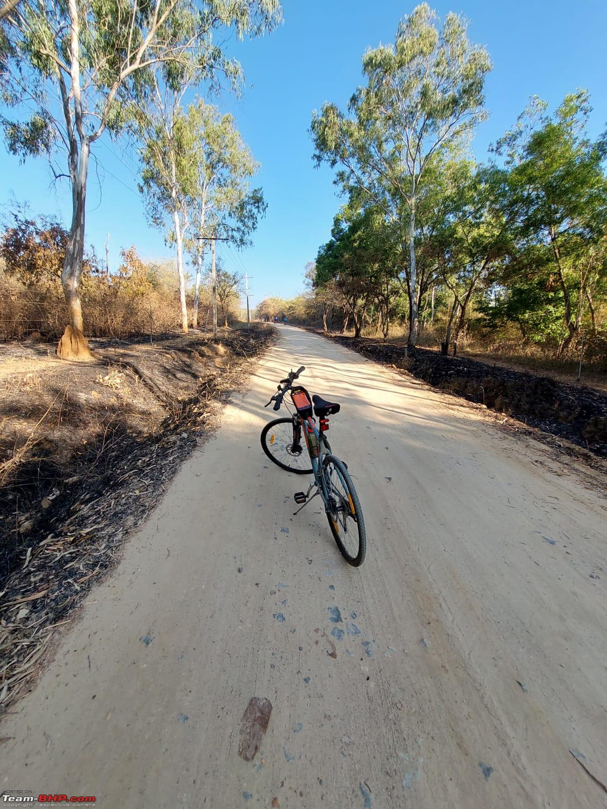 Firefox Roadrunner Pro - Disc Brake: ChooseMyBicycle.com Expert Review 