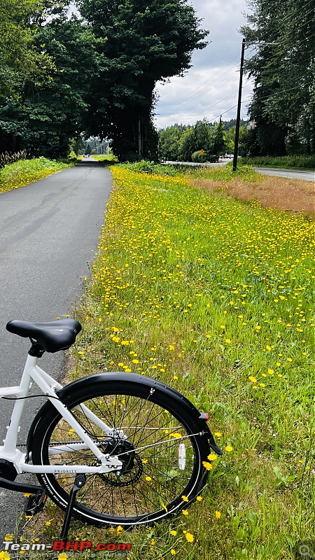 My Priority Current e-BIKE a.k.a White Lightening Review | A journey to a Fit Life!-img_5936.jpg