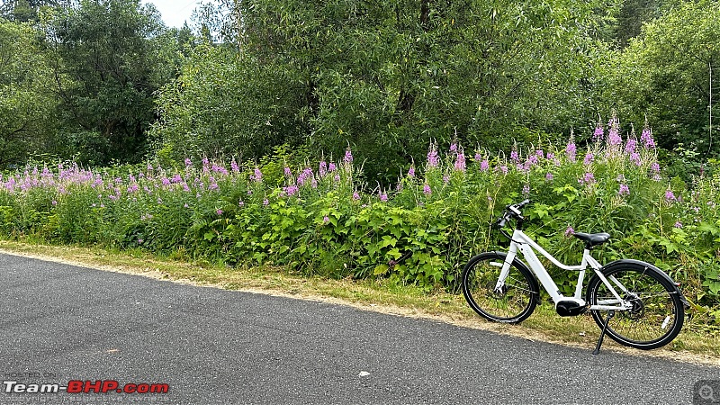 My Priority Current e-BIKE a.k.a White Lightening Review | A journey to a Fit Life!-fullsizerender-9.jpg