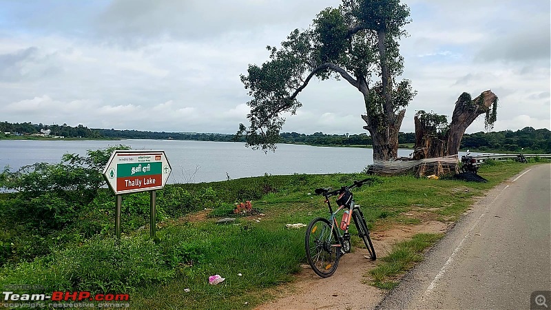 One Pedal at a time | My Cycling Journey with Firefox Road Runner Pro-2a.jpeg