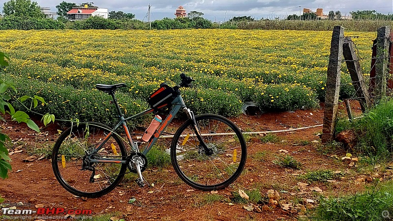 One Pedal at a time | My Cycling Journey with Firefox Road Runner Pro-4.jpeg