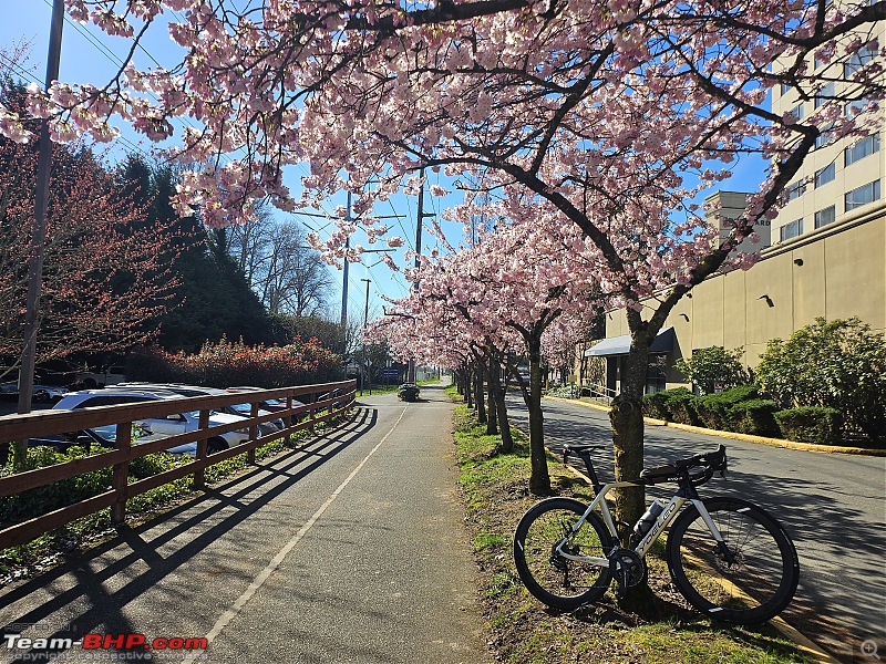 Post pictures of your Bicycle on day trips here!-20240317_110445.jpg