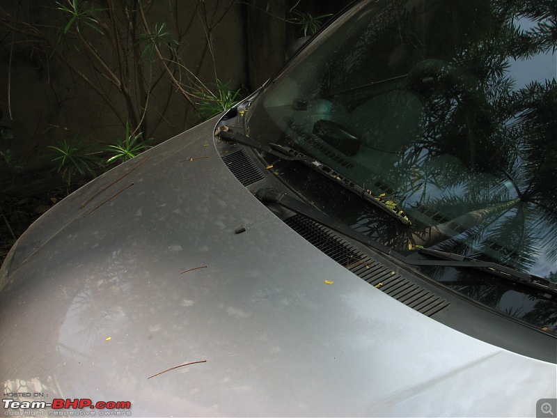 Exterior & Interior Detailing - Car Cares (Chennai)-img_4920.jpg