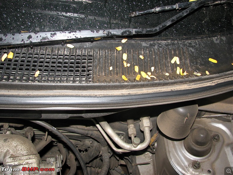 Car Detailing : Privilege Carz Spa (Nandanam, Chennai)-img_2832.jpg