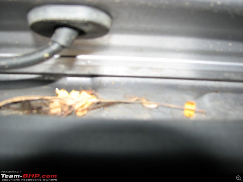 Car Detailing : Privilege Carz Spa (Nandanam, Chennai)-img_2842.jpg