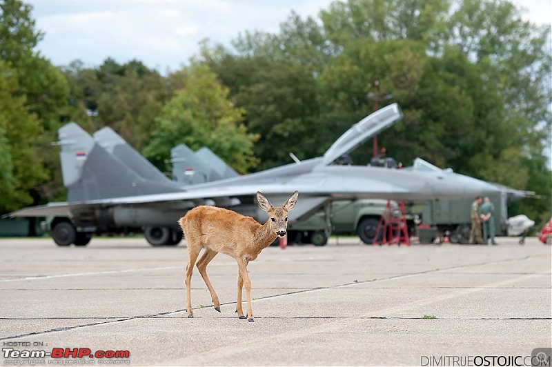 MiG-29 Fulcrum : The balance rests on us-bambi.jpg