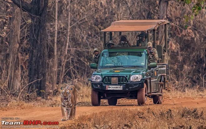 Jungle Safari Vehicles in India-lodgeownedgalleryimg2.jpg