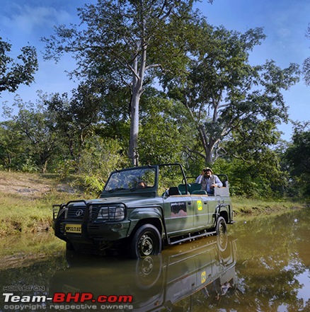 Jungle Safari Vehicles in India-tata-1.jpg