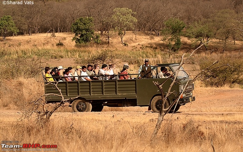 Click image for larger version

Name:	Cantersafarivehicleindianationalparks.jpg
Views:	N/A
Size:	368.1 KB
ID:	2535978