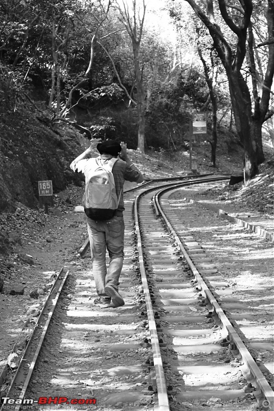 Railway Pics-img_2439c.jpg