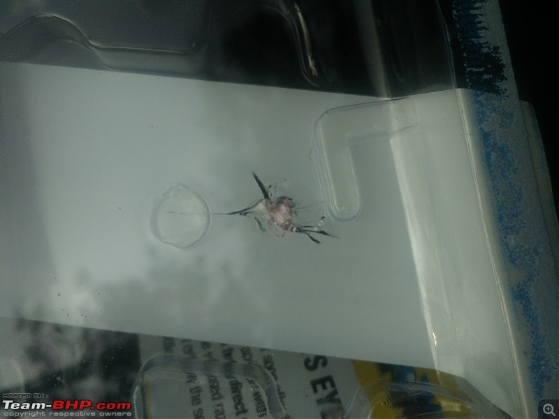 DIY Repair: Windshield Chip & Crack-1.-crack.jpg