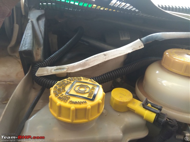 DIY: Cruise Control installation on my Fiat Abarth Urban Cross Avventura-25.jpg