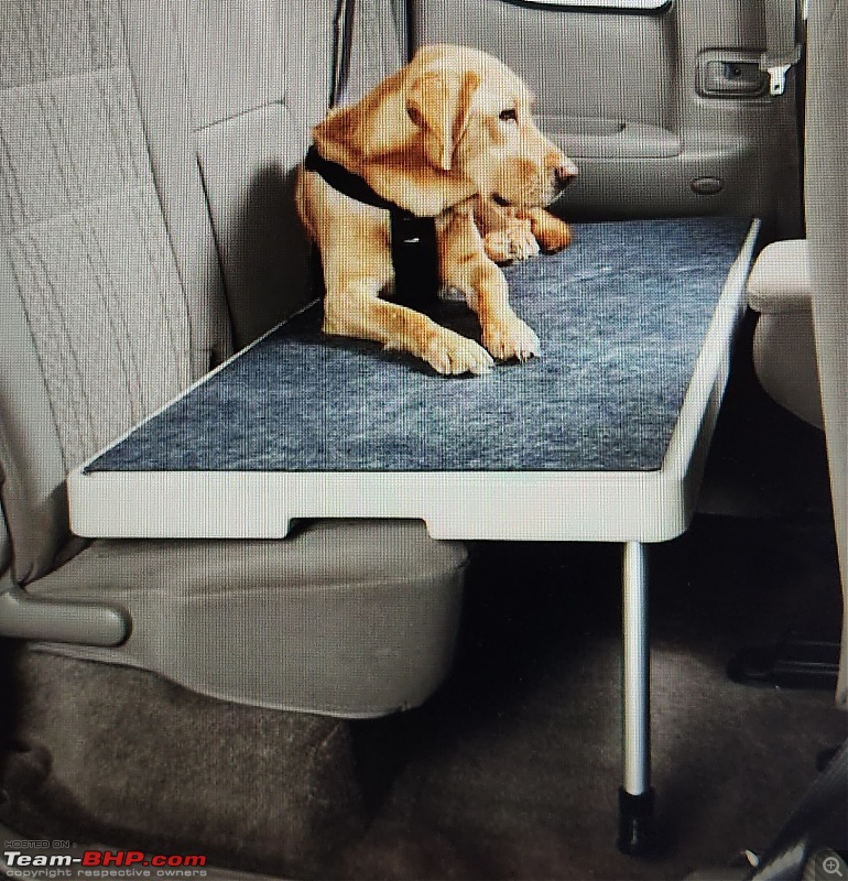 DIY - Rear seat car bed/seat extender for pets-20231108_120958.jpg