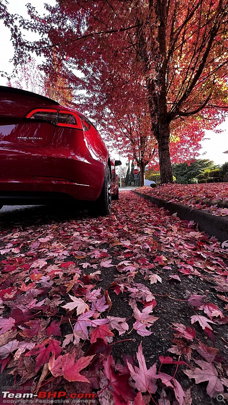 Rosso Diablo | 2023 Tesla Model 3 Performance (M3P) | 11500 miles in 12 months | Ownership Report-img_0304.jpg