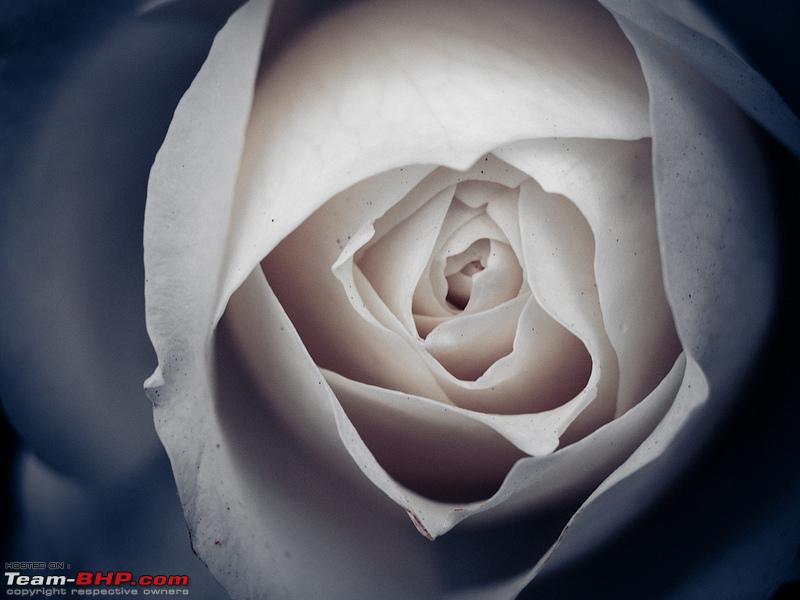 Name:  8239549703_b902fc55d0_c.jpg
Views: 2241
Size:  174.6 KB