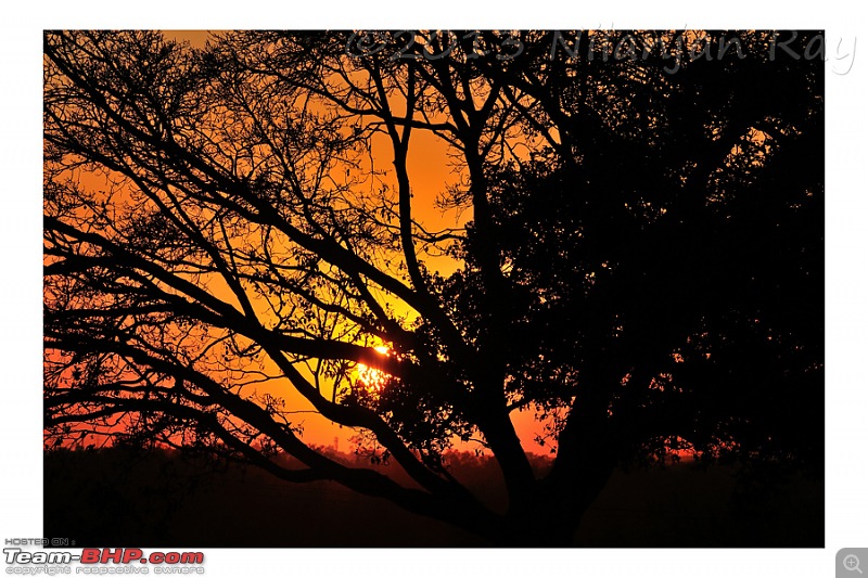 The Official non-auto Image thread-sunset-sky-through-trees.jpeg