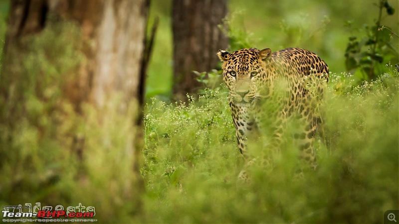 The Official non-auto Image thread-kabini-13.jpg