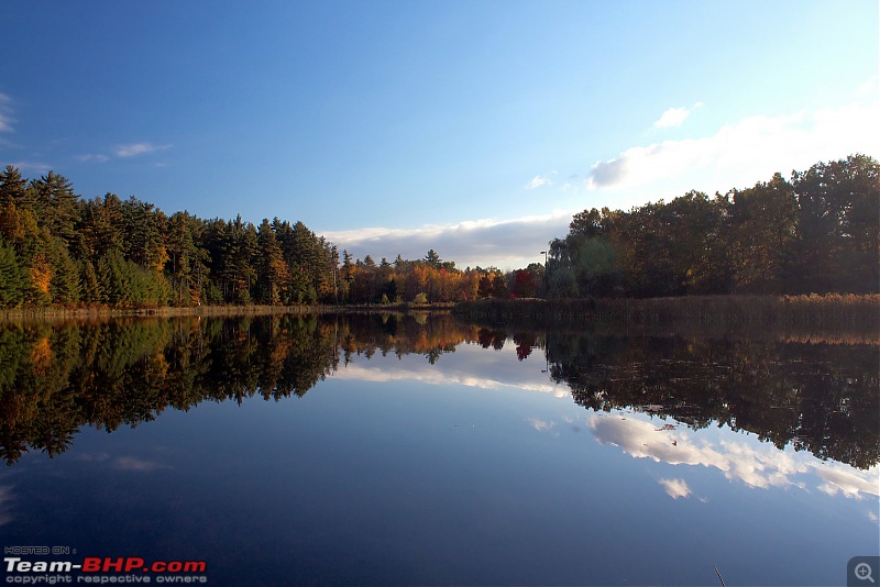 The Official non-auto Image thread-office-campus-pond.jpg