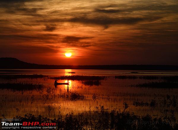 Name:  DSC_1420_small2.jpeg
Views: 900
Size:  141.8 KB