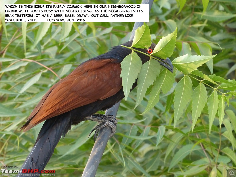 The Official non-auto Image thread-p1010991.jpg