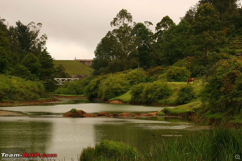 The Official non-auto Image thread-ooty-landscape.jpg