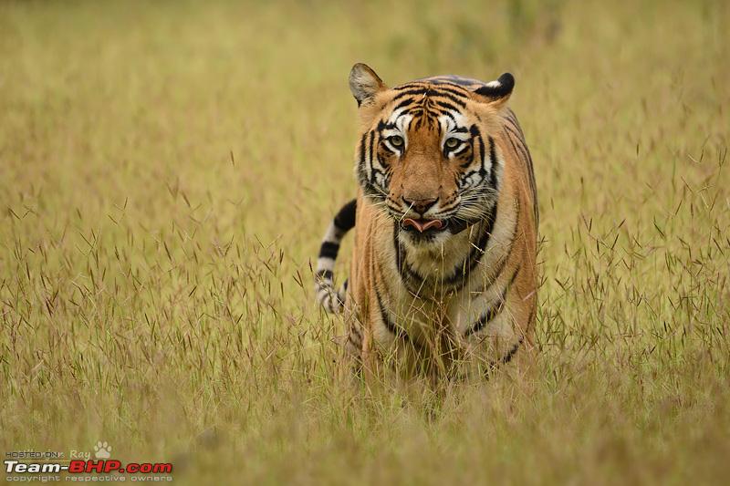 Name:  DSC_0408.jpg
Views: 879
Size:  197.9 KB