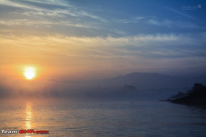 Name:  DSC_86772.jpg
Views: 550
Size:  90.7 KB