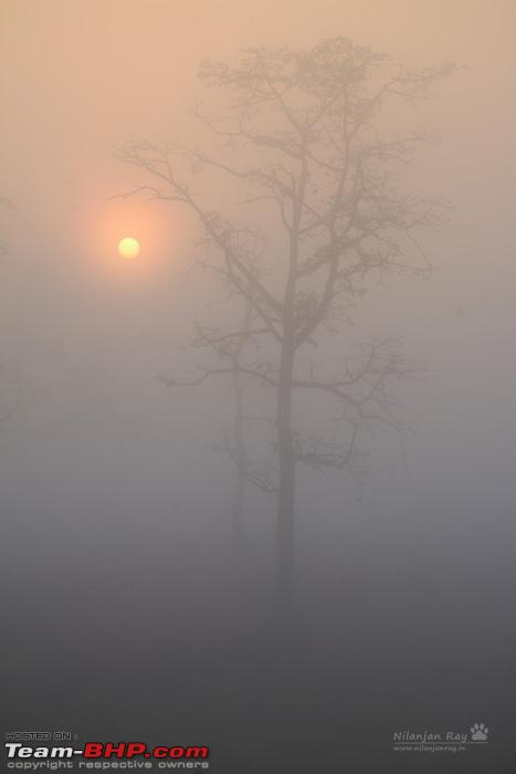 Name:  DSC_2333.jpg
Views: 807
Size:  38.0 KB