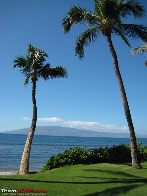 Name:  Hawaii_Nov_070373.jpg
Views: 524
Size:  63.7 KB