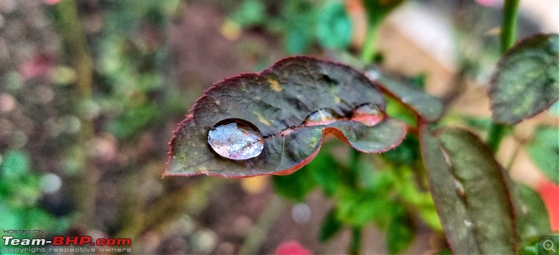 The Smartphone Photography Thread-water-droplet.jpeg