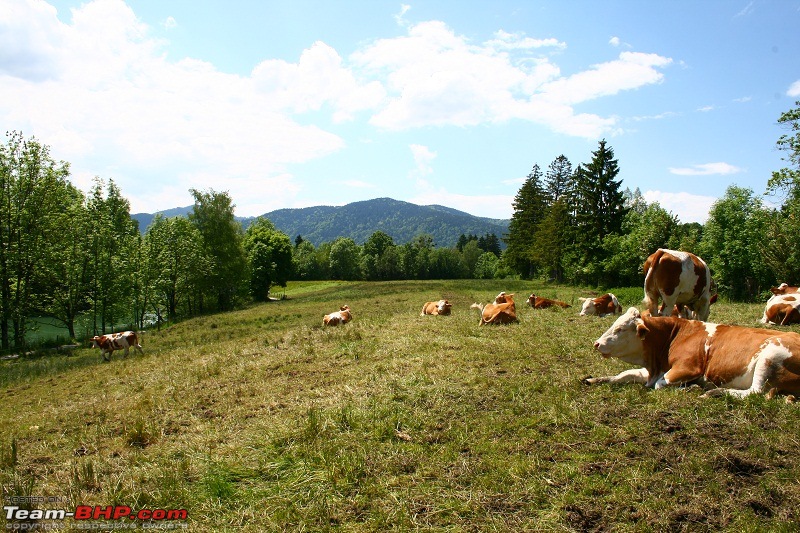 The Official non-auto Image thread-img_4933-resize.jpg