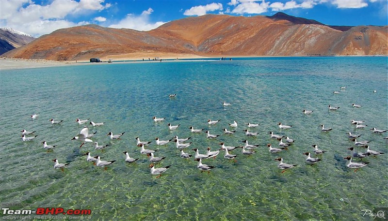 The Official non-auto Image thread-pangong17-large.jpg