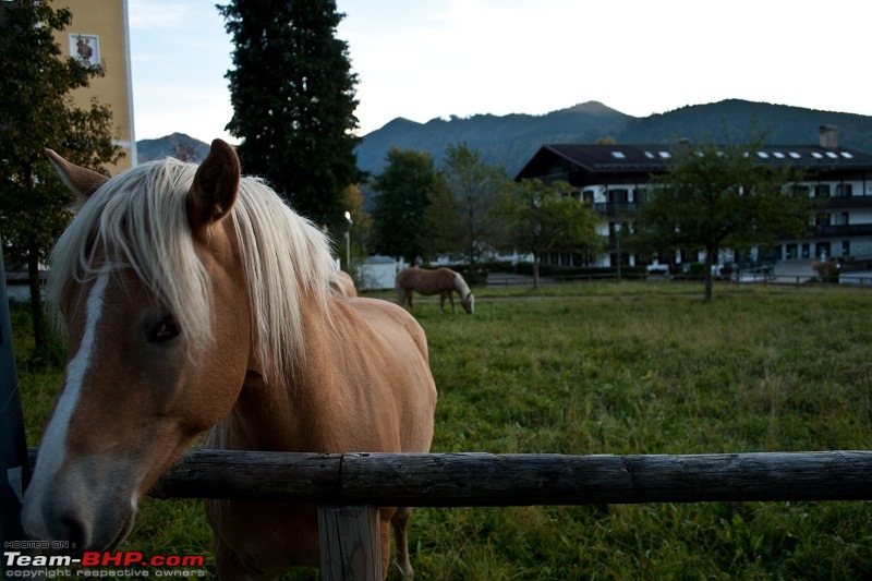 The Official non-auto Image thread-pawan-pullarwar-photographyhorse.jpg