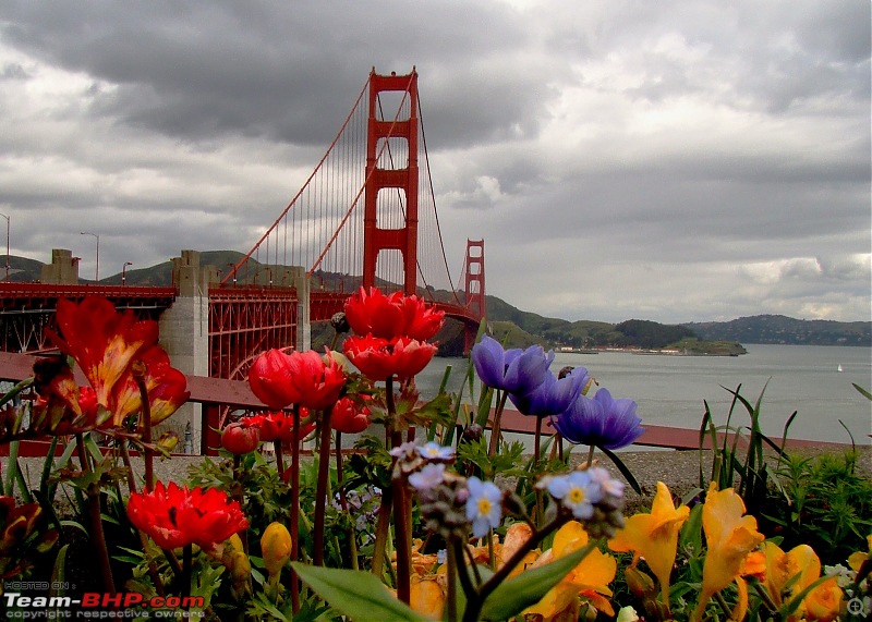 The Official non-auto Image thread-ggb_flowers_tbhp.jpg