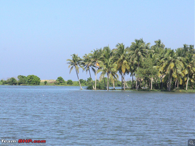 The Official non-auto Image thread-backwaters1.jpg