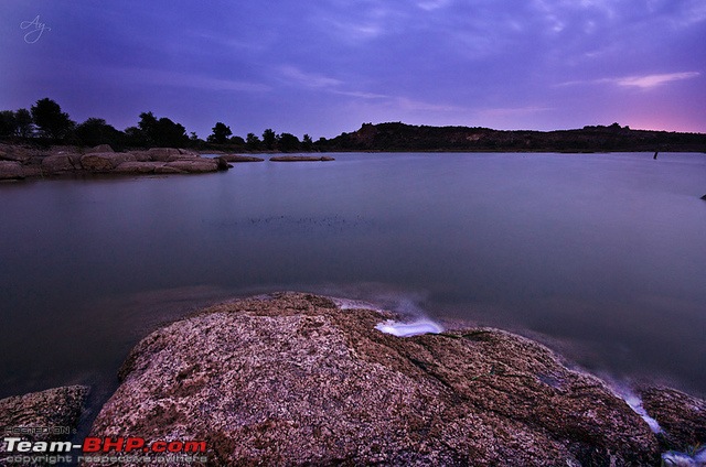 The Official non-auto Image thread-20110629purple_byabhinav.jpg