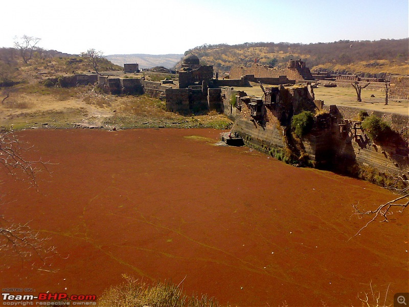 The Official non-auto Image thread-lake-weeds.jpg