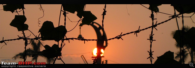 The Official non-auto Image thread-barbed-wire.jpg