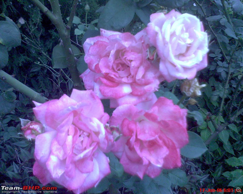 The Official non-auto Image thread-dsc00038.jpg