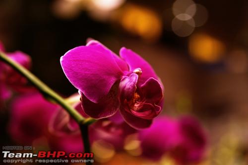 Name:  t1.jpg
Views: 617
Size:  115.2 KB