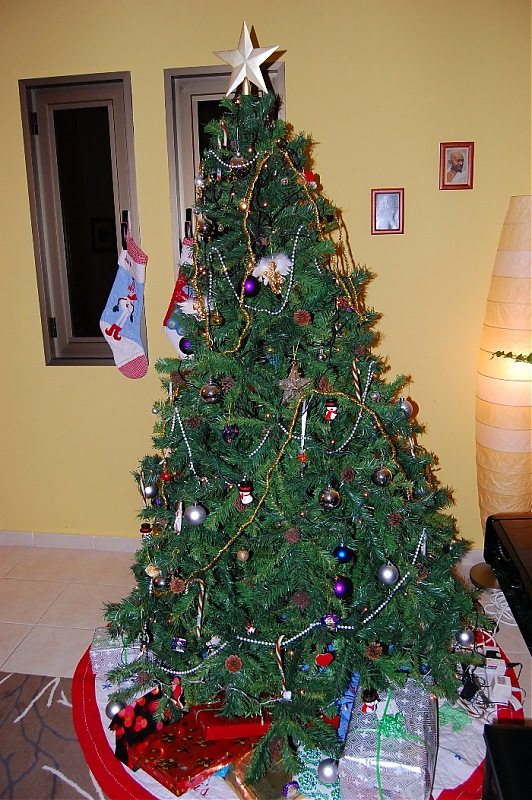 The Official non-auto Image thread-christmas-tree.jpg