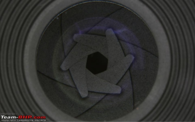 The DSLR Thread-image3785144889.jpg