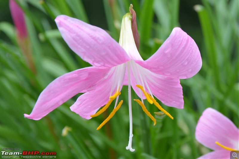The DSLR Thread-csc_0084.jpg