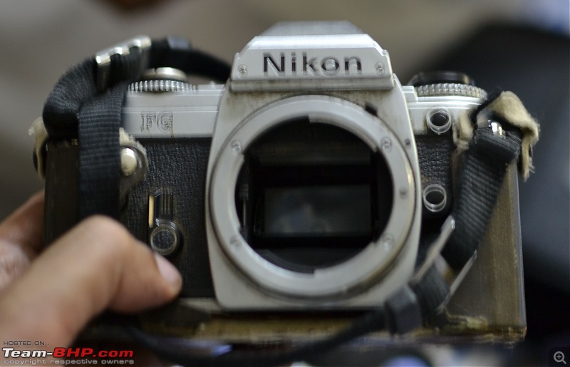 The DSLR Thread-dsc_4637.jpg