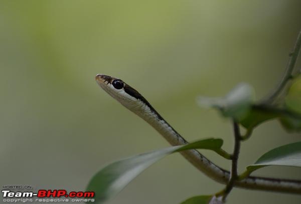 The DSLR Thread-dsc_1073.jpg