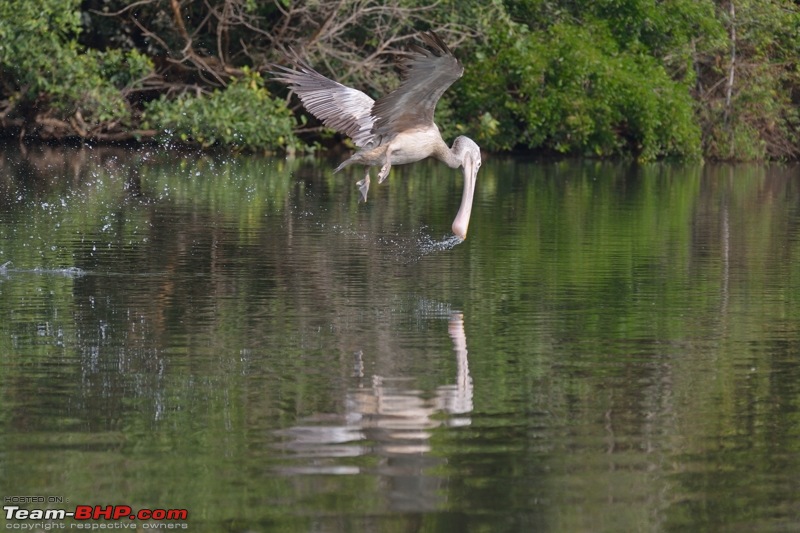 The DSLR Thread-dsc_2117.jpg