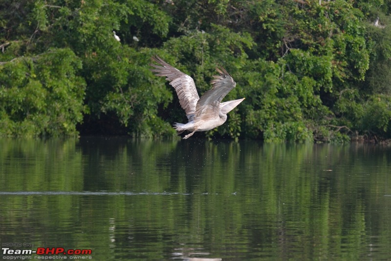 The DSLR Thread-dsc_2120.jpg