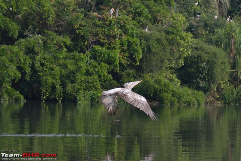 The DSLR Thread-dsc_2121.jpg