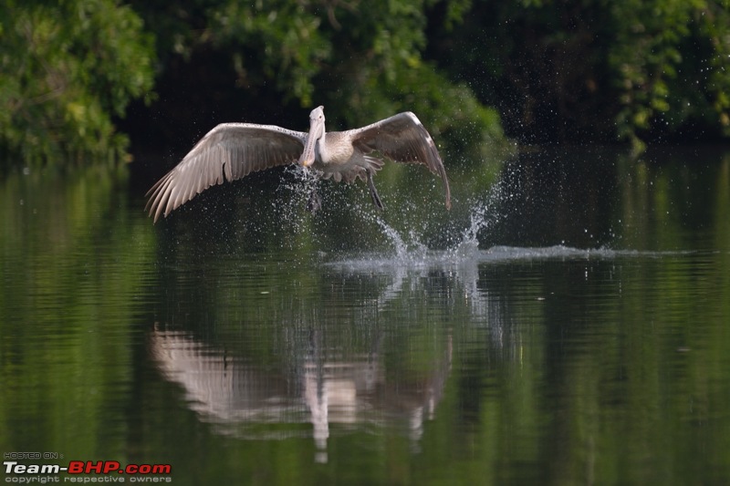 The DSLR Thread-dsc_2142.jpg
