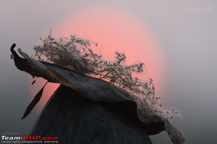The DSLR Thread-dsc_3574.jpg
